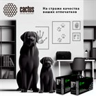 Расширение линейки тонер картриджей CACTUS для техники Ricoh, Huawei, Катюша, и других Расширение линейки тонер картриджей CACTUS для техники Ricoh, Huawei, Катюша, и других