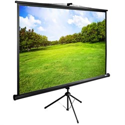 Экран Cactus TriExpert CS-PSTE-200х150-BK 99 " 4:3 напольный (200х150 см.) - фото 11839