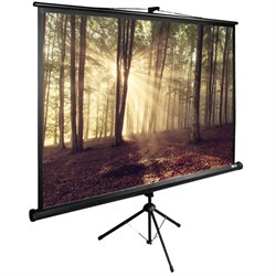 Экран Cactus TriExpert CS-PSTE-180х135-BK 89 " 4:3 напольный (180х135 см.) - фото 11843