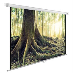 Экран Cactus WallExpert CS-PSWE-220x220-WT 124" 1:1 настенно-потолочный (220x220 см.) - фото 11851