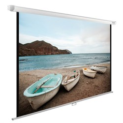 Экран Cactus WallExpert CS-PSWE-220x138-WT 103" 16:10 настенно-потолочный (220x138 см.) - фото 11861