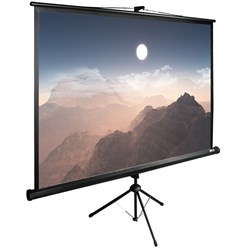 Экран Cactus TriExpert CS-PSTE-180x180-BK 100" 1:1 напольный (180x180 см.) - фото 11866