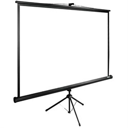 Экран Cactus TriExpert CS-PSTE-180x180-BK 100" 1:1 напольный (180x180 см.) - фото 11867