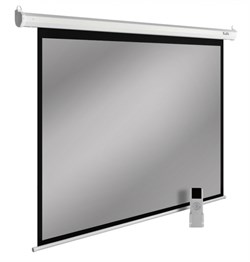 Экран Cactus SIlverMotoExpert CS-PSSME-300x188-WT 141" 16:10 настенно-потолочный светло-серый, моторизованный привод (300x188 см.) - фото 12928