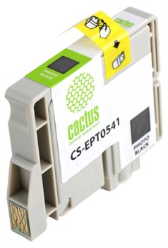 Струйный картридж Cactus CS-EPT0541 (T0541) черный глянцевый для принтеров Epson Stylus Photo R800, R1800 (16,2 мл) - фото 14888