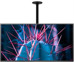 Кронштейн для телевизора Cactus CS-CP07 черный 23"-55" макс.45кг потолочный поворот и наклон - фото 17200