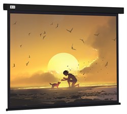 Экран Cactus Wallscreen CS-PSW-150X150-BK 1:1 настенно-потолочный белый, корпус черный (150x150 см.) - фото 17599