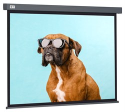 Экран Cactus Wallscreen CS-PSW-149X265-SG 16:9 настенно-потолочный белый, корпус серый (149.4x265.7 см.) - фото 17608