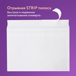 Конверты Brauberg С4 (229х324 мм), отрывная лента, 100 г/м2, комплект 50 шт. - фото 20993