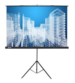 Экран Cactus Triscreen CS-PST-104x186 16:9 напольный черный (104x186 см.) - фото 21638