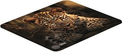 Коврик для мыши Cactus Leopard 250x200x3мм (CS-MP-D06S) - фото 21708