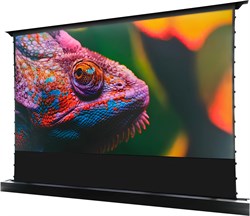 Экран Cactus 148x263см FloorRising CS-PSFRCLR-263X148 16:9 напольный рулонный черный (моторизованный привод) - фото 24434