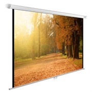Экран Cactus WallExpert CS-PSWE-200x125-WT 93" 16:10 настенно-потолочный (200x125 см.) Экран Cactus WallExpert CS-PSWE-200x125-WT 93" 16:10 настенно-потолочный (200x125 см.)