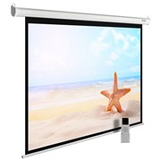 Экран Cactus MotoExpert CS-PSME-220x138-WT 103" 16:10 настенно-потолочный белый, моторизованный привод (220x138 см.) Экран Cactus MotoExpert CS-PSME-220x138-WT 103" 16:10 настенно-потолочный белый, моторизованный привод (220x138 см.)
