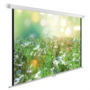 Экран Cactus WallExpert CS-PSWE-200x200-WT 112" 1:1 настенно-потолочный (200x200 см.)