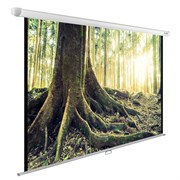 Экран Cactus WallExpert CS-PSWE-220x220-WT 124" 1:1 настенно-потолочный (220x220 см.)