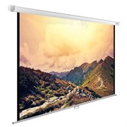 Экран Cactus WallExpert CS-PSWE-240x180-WT 119 " 4:3 настенно-потолочный (180x240 см.) Экран Cactus WallExpert CS-PSWE-240x180-WT 119 " 4:3 настенно-потолочный (180x240 см.)