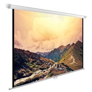 Экран Cactus WallExpert CS-PSWE-240x180-WT 119 " 4:3 настенно-потолочный (180x240 см.)