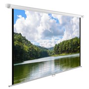 Экран Cactus WallExpert CS-PSWE-240x150-WT 113" 16:10 настенно-потолочный (240x150 см.)