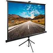 Экран Cactus TriExpert CS-PSTE-160x160-BK 92" 1:1 напольный (160x160 см.)