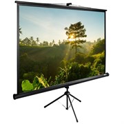 Экран Cactus TriExpert CS-PSTE-200х200-BK 115" 1:1 напольный (200х200 см.) Экран Cactus TriExpert CS-PSTE-200х200-BK 115" 1:1 напольный (200х200 см.)