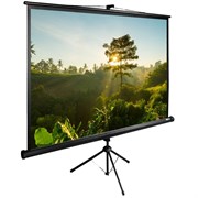 Экран Cactus TriExpert CS-PSTE-200х200-BK 115&quot; 1:1 напольный (200х200 см.)