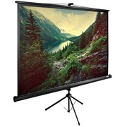 Экран Cactus TriExpert CS-PSTE-220х220-BK 127" 1:1 напольный (220х220 см.)