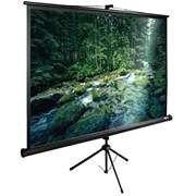 Экран Cactus TriExpert CS-PSTE-220х165-BK 109" 4:3 напольный (220х165 см.)