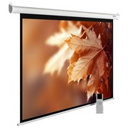 Экран Cactus MotoExpert CS-PSME-300X188-WT 141" 16:10 настенно-потолочный белый, моторизованный привод (300x188 см.) Экран Cactus MotoExpert CS-PSME-300X188-WT 141" 16:10 настенно-потолочный белый, моторизованный привод (300x188 см.)