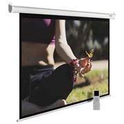 Экран Cactus MotoExpert CS-PSME-200x200-WT 112" 1:1 настенно-потолочный белый, моторизованный привод (200x200 см.) Экран Cactus MotoExpert CS-PSME-200x200-WT 112" 1:1 настенно-потолочный белый, моторизованный привод (200x200 см.)