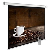 Экран Cactus MotoExpert CS-PSME-300x300-WT 169" 1:1 настенно-потолочный белый, моторизованный привод (300x300 см.) Экран Cactus MotoExpert CS-PSME-300x300-WT 169" 1:1 настенно-потолочный белый, моторизованный привод (300x300 см.)
