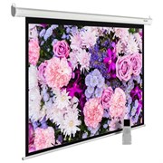 Экран Cactus MotoExpert CS-PSME-420x315-WT 209" 4:3 настенно-потолочный белый, моторизованный привод (420x315 см.) Экран Cactus MotoExpert CS-PSME-420x315-WT 209" 4:3 настенно-потолочный белый, моторизованный привод (420x315 см.)