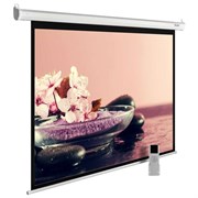 Экран Cactus MotoExpert CS-PSME-360x270-WT 179" 4:3 настенно-потолочный белый, моторизованный привод (360x270 см.) Экран Cactus MotoExpert CS-PSME-360x270-WT 179" 4:3 настенно-потолочный белый, моторизованный привод (360x270 см.)