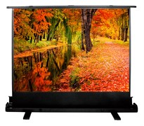 Экран Cactus FloorExpert CS-PSFLE-200x150 99" 4:3 напольный (200x150 см.) Экран Cactus FloorExpert CS-PSFLE-200x150 99" 4:3 напольный (200x150 см.)
