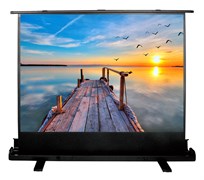 Экран Cactus FloorExpert CS-PSFLE-200x113 91&quot; 16:9 напольный (200x113 см.)