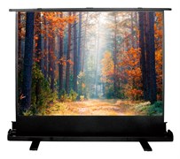 Экран Cactus FloorExpert CS-PSFLE-180x135 89" 4:3 напольный (180x135 см.) Экран Cactus FloorExpert CS-PSFLE-180x135 89" 4:3 напольный (180x135 см.)