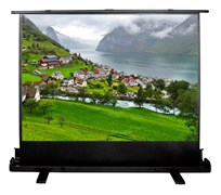 Экран Cactus FloorExpert CS-PSFLE-180x102 81&quot; 16:9 напольный (180x102 см.)