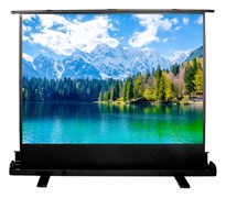 Экран Cactus FloorExpert CS-PSFLE-160x90 71" 16:9 напольный (160x90 см.) Экран Cactus FloorExpert CS-PSFLE-160x90 71" 16:9 напольный (160x90 см.)