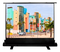Экран Cactus FloorExpert CS-PSFLE-160x120 77" 4:3 напольный (160X120 см.) Экран Cactus FloorExpert CS-PSFLE-160x120 77" 4:3 напольный (160X120 см.)