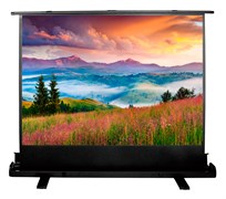 Экран Cactus FloorExpert CS-PSFLE-120x68 53&quot; 16:9 напольный (120x68 см.)