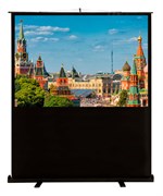 Экран Cactus FloorCompactExpert CS-PSFLCE-200x113 91" 16:9 напольный (200x113 см.) Экран Cactus FloorCompactExpert CS-PSFLCE-200x113 91" 16:9 напольный (200x113 см.)