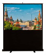 Экран Cactus FloorCompactExpert CS-PSFLCE-200x113 91&quot; 16:9 напольный (200x113 см.)