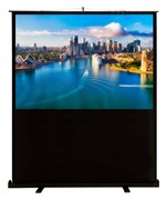 Экран Cactus FloorCompactExpert CS-PSFLCE-160x120 77" 4:3 напольный (160x120 см.) Экран Cactus FloorCompactExpert CS-PSFLCE-160x120 77" 4:3 напольный (160x120 см.)