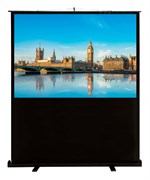 Экран Cactus FloorCompactExpert CS-PSFLCE-120x68 53" 16:9 напольный (120x68 см.) Экран Cactus FloorCompactExpert CS-PSFLCE-120x68 53" 16:9 напольный (120x68 см.)
