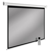 Экран Cactus SIlverMotoExpert CS-PSSME-300x188-WT 141&quot; 16:10 настенно-потолочный светло-серый, моторизованный привод (300x188 см.)