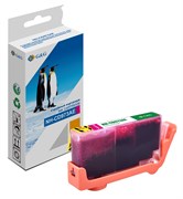 Струйный картридж G&G NH-CD973AE (HP 920XL) пурпурный для HP OfficeJet 6000 Pro, 6500, 6500a (E710a, E710n), 7000, 7500, 7500a (e910a) (14,6 мл.) Струйный картридж G&G NH-CD973AE (HP 920XL) пурпурный для HP OfficeJet 6000 Pro, 6500, 6500a (E710a, E710n), 7000, 7500, 7500a (e910a) (14,6 мл.)
