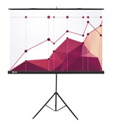 Экран Cactus Triscreen CS-PST-180x180 1:1 напольный черный (180x180 см.) Экран Cactus Triscreen CS-PST-180x180 1:1 напольный черный (180x180 см.)