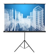 Экран Cactus Triscreen CS-PST-104x186 16:9 напольный черный (104x186 см.)