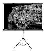 Экран Cactus Triscreen CS-PST-124x221 16:9 напольный черный (124x221 см.) Экран Cactus Triscreen CS-PST-124x221 16:9 напольный черный (124x221 см.)