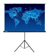 Экран Cactus Triscreen CS-PST-150x150 1:1 напольный черный (150x150 см.)